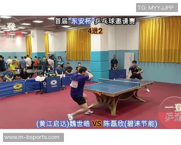 对话乒乓球名将陈磊回顾辉煌生涯与未来展望 对话乒乓球名将陈磊回顾辉煌生涯与未来展望