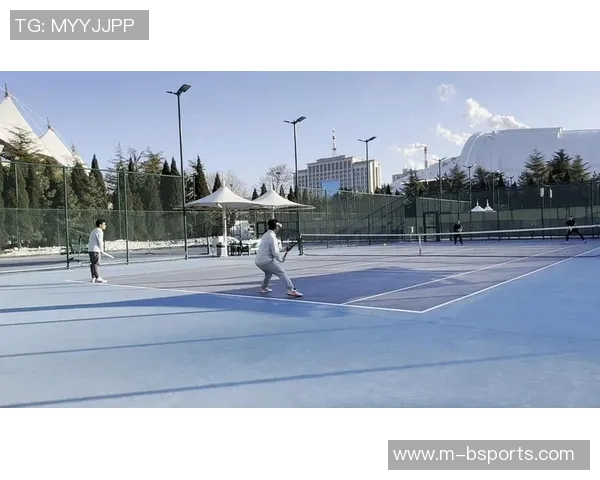 体育实时数据深入分析重庆网球队区域防守战术的特点与应用策略